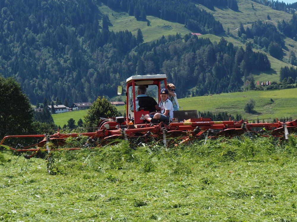 Beim Heu wenden