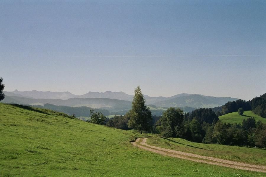Nähere Umgebung (ca. 300 m vom Haus entfernt)