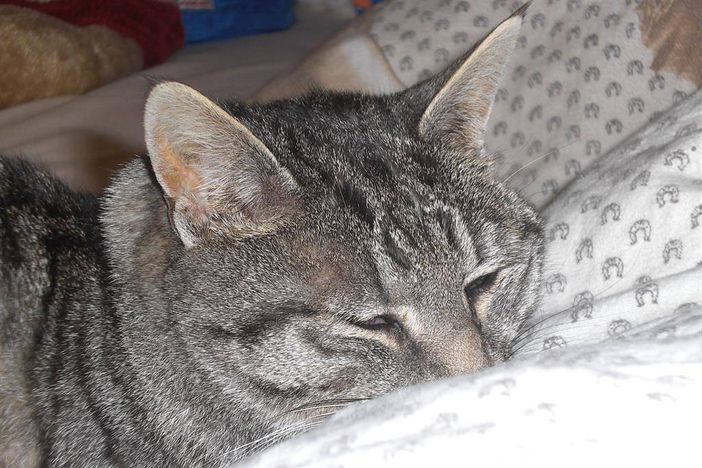 Ferienhof Steinmüller 3