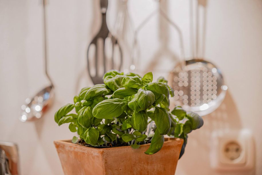 K-69102_FeWo-Soldanelle-Kueche-Detail_6453_©Tanner