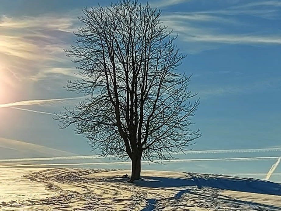 csm_Winterbild_Helga_Wollmerstedt_54281af839