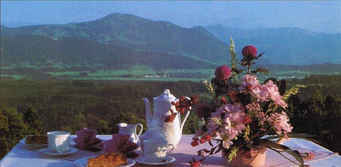 Aussicht von unserer Terrasse zum Grünten