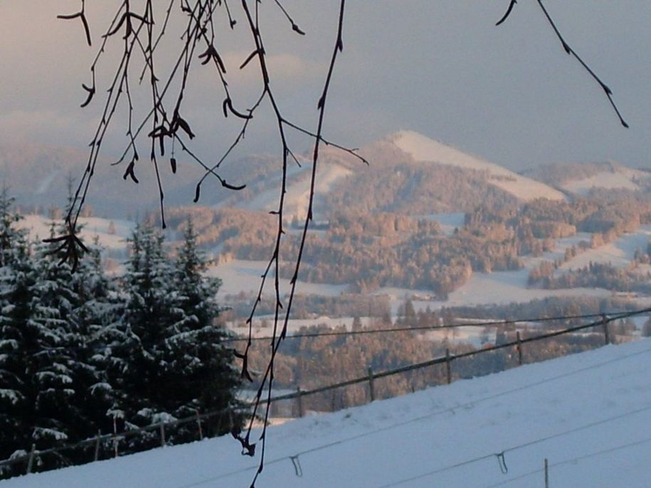 traumlandschaft