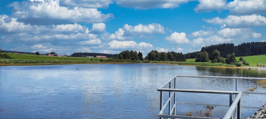 Sachsenrieder Weiher