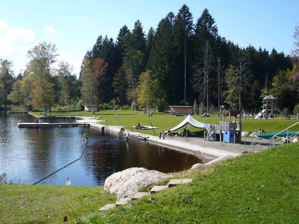 Waldsee