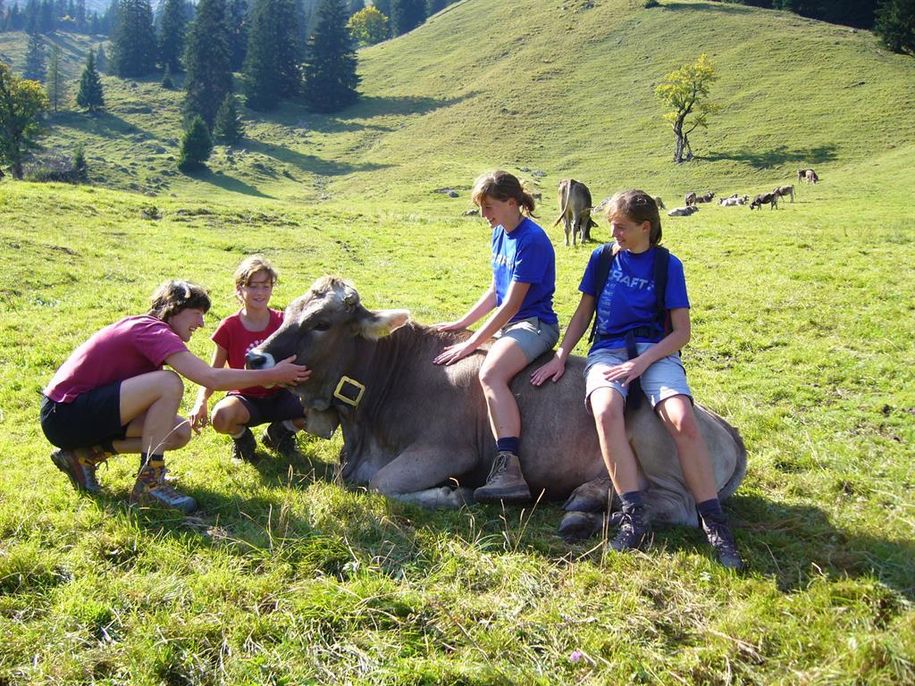 ...sich wohlfühlen, so wie diese glücklichen Kühe!