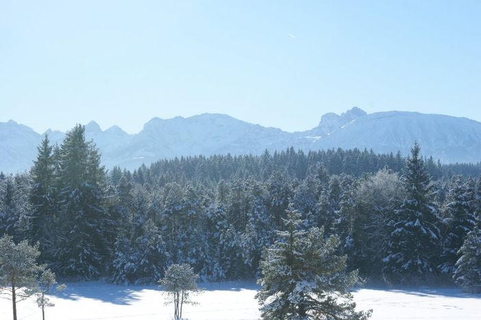 Unser Panoramablick im Winter