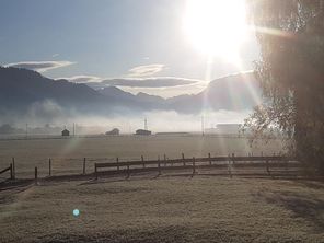 Herbstmorgen