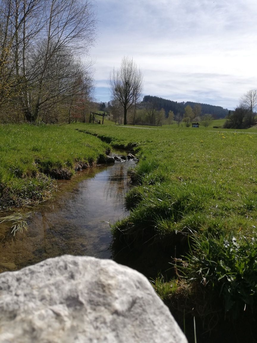 Von Wiggensbach über den barrierefreien Wasserweg nach Westenried