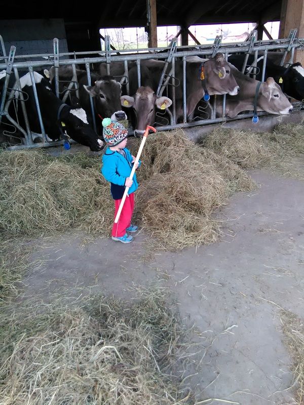 Kleine fleißige helfer im Stall
