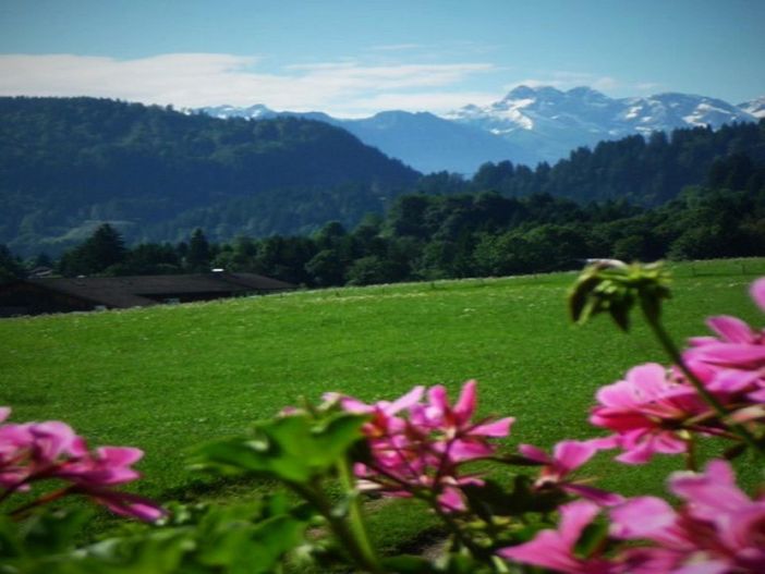 Aussicht  in Richtung Oberstdorf