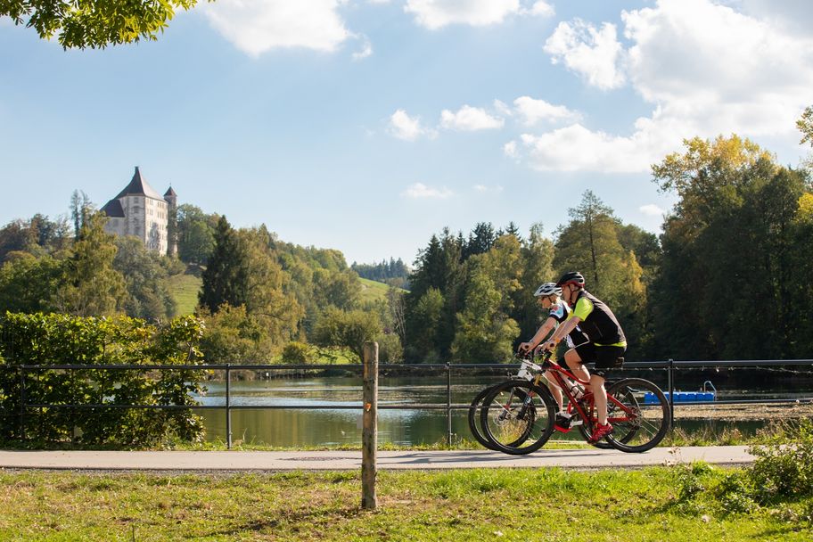 Schlossblick aus Richtung Zell