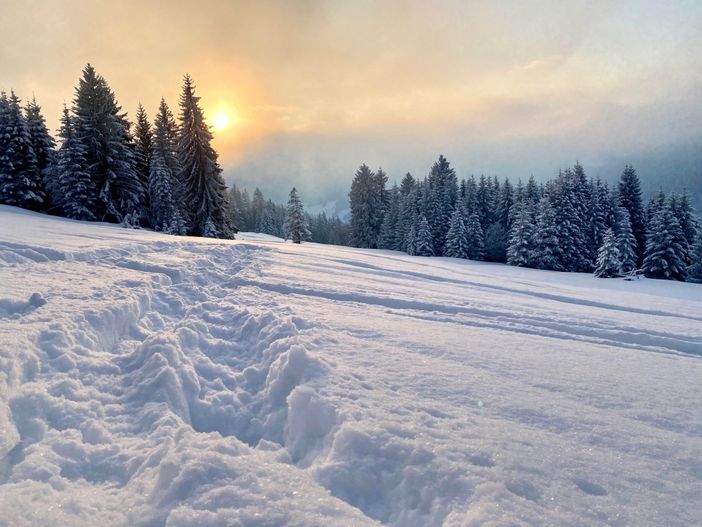 Skitouren / Schneeschuhtouren im Oberallgäu