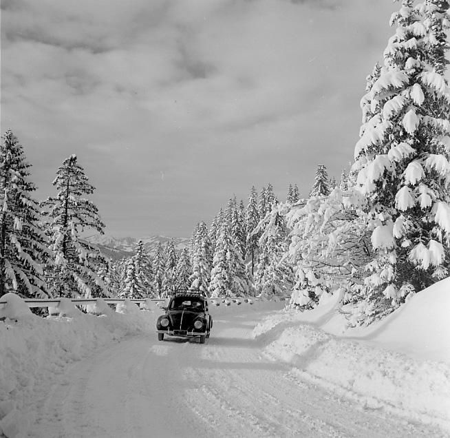 Käfer auf der Jochstraße 1951