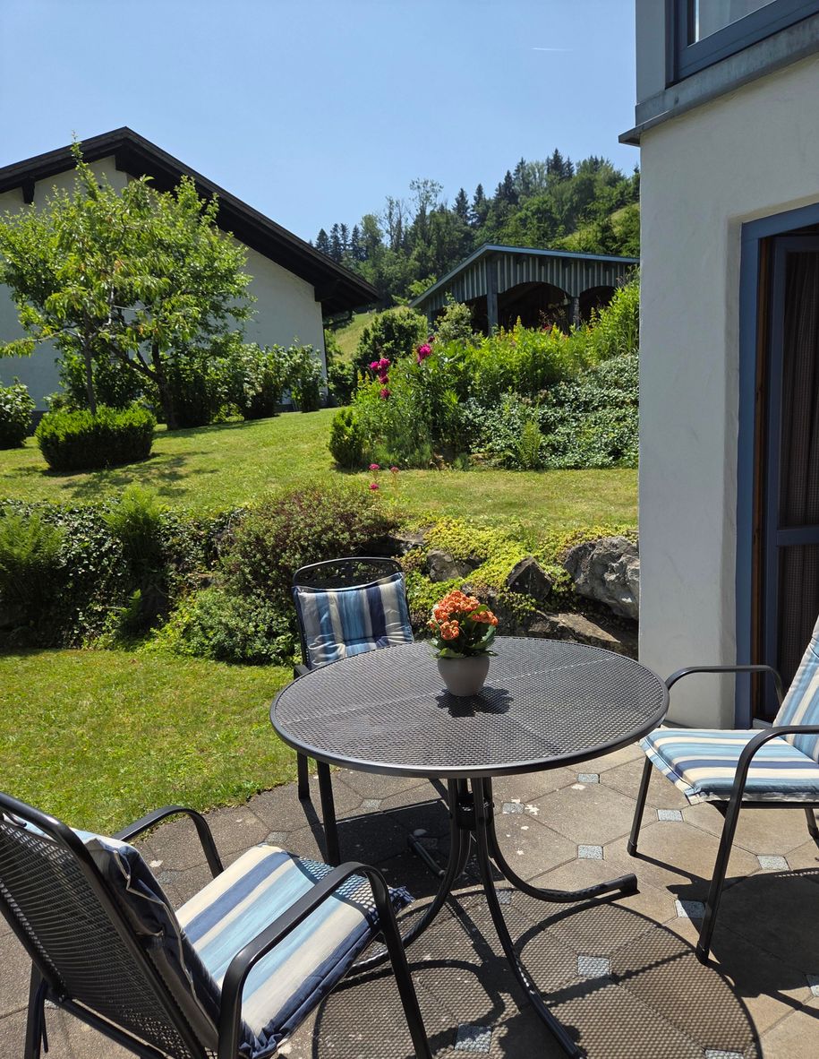 Blick in den Garten