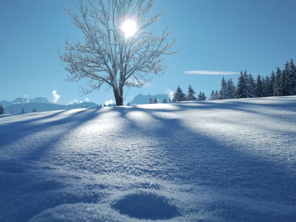 IMG_20231203_123245_MP