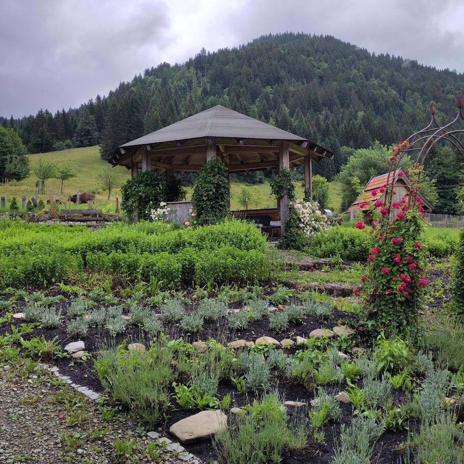 Balderschwang- Sich zit long Weg