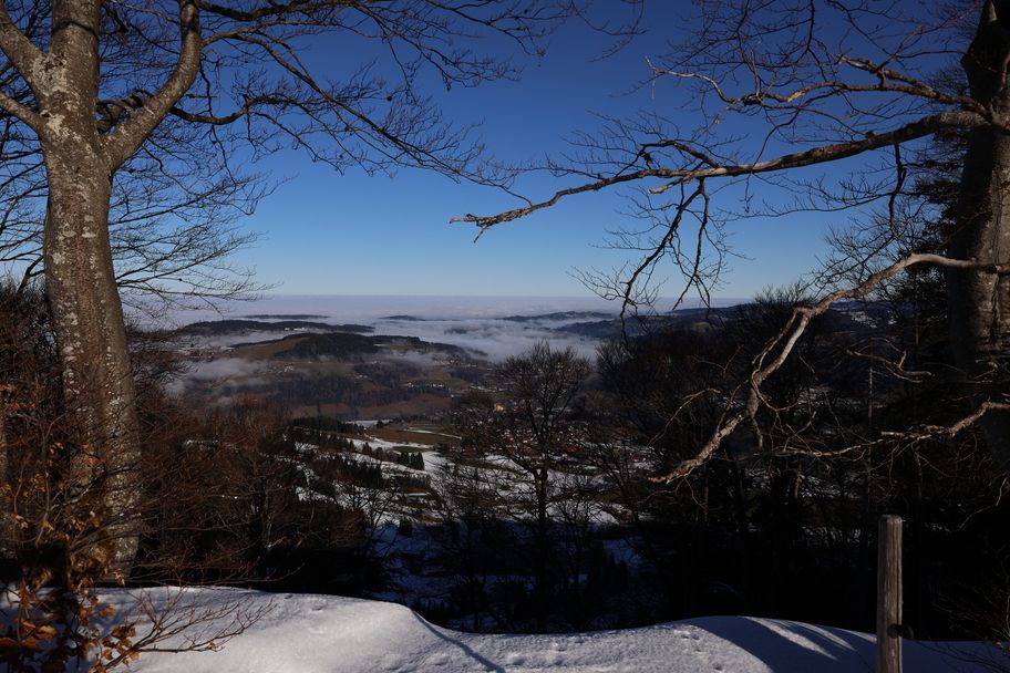 Von Steibis auf den Imberg (1.290m)
