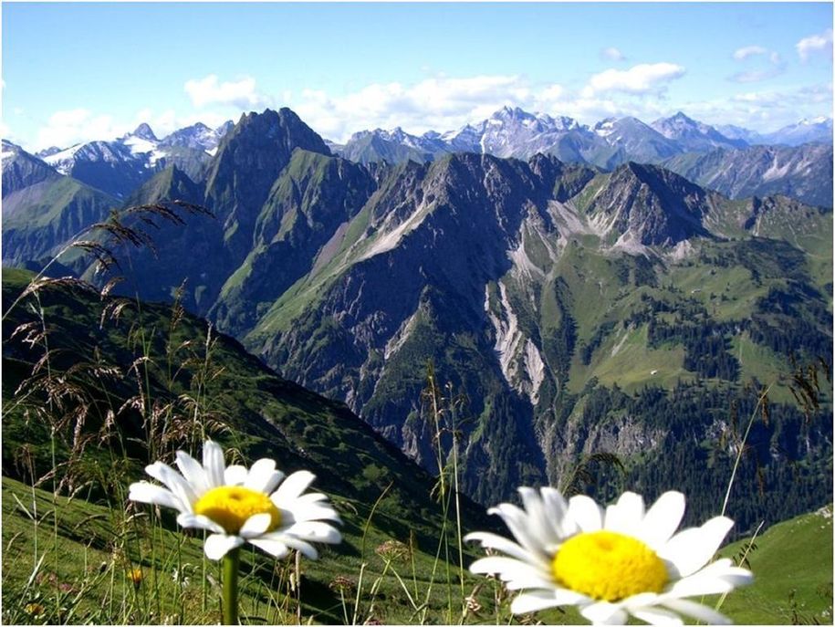 Sommertag in den Bergen