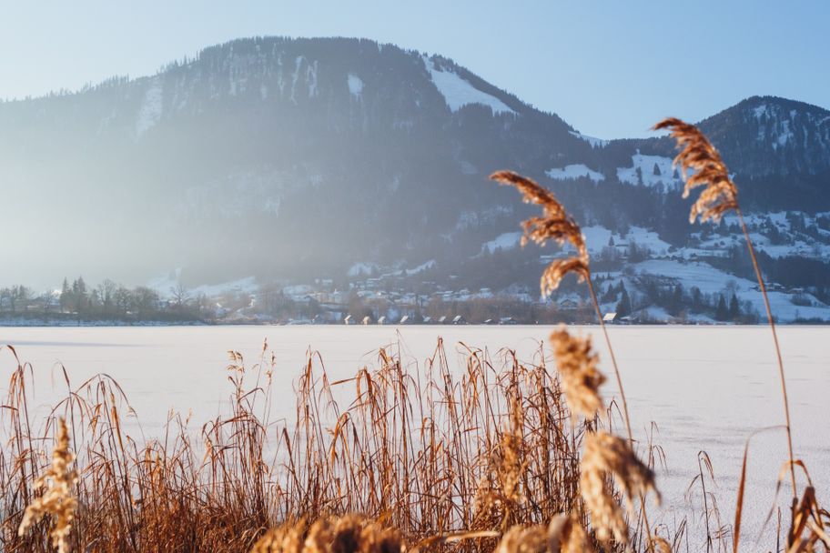 Verschneiter Großer Alpsee