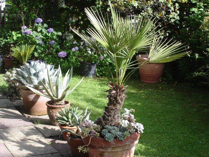 Garten