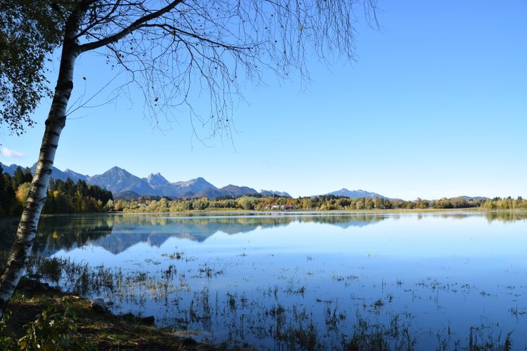 Forggensee mit Allgäuer Alpen im Hintergrund