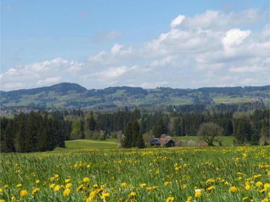 Ausblick