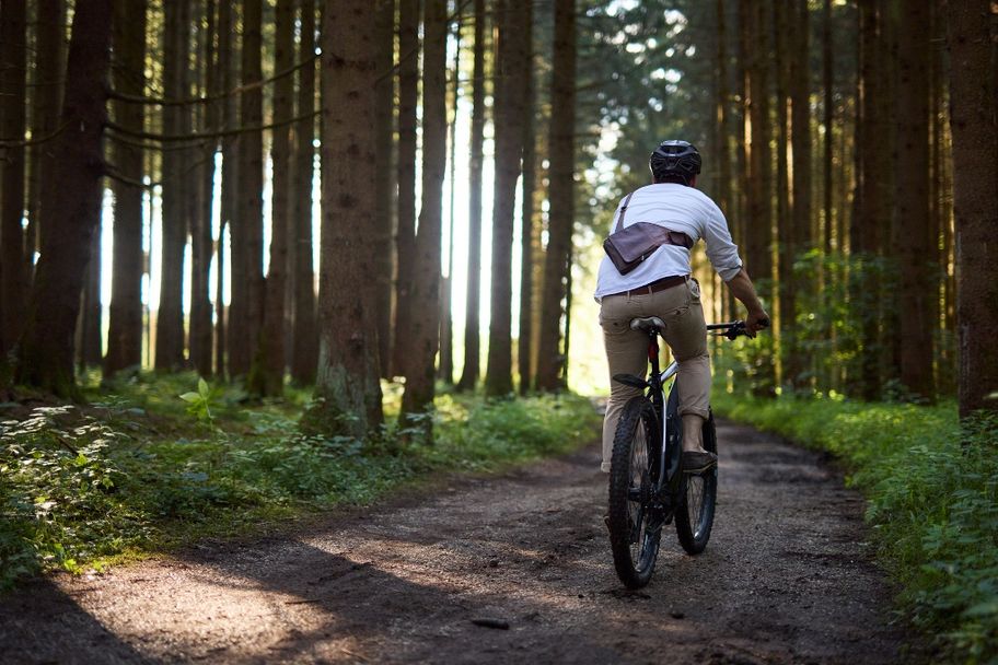 Mit_dem_Rad_durch_den_Wald