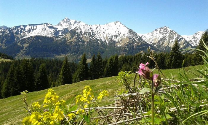 der Schnee geht der Frühling kommt