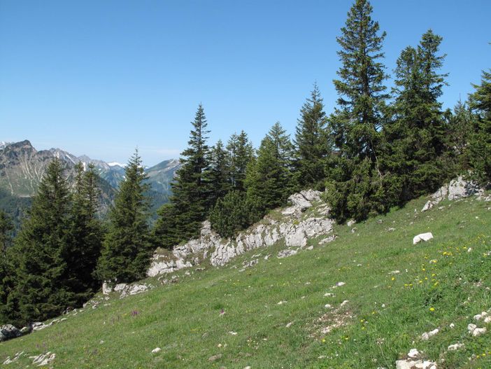 Naturschutzgebiet Allgäuer Hochalpen