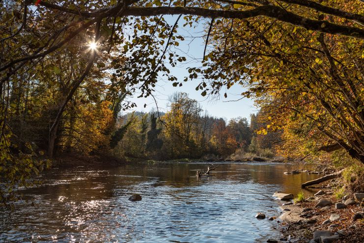 Die Argen im Herbst