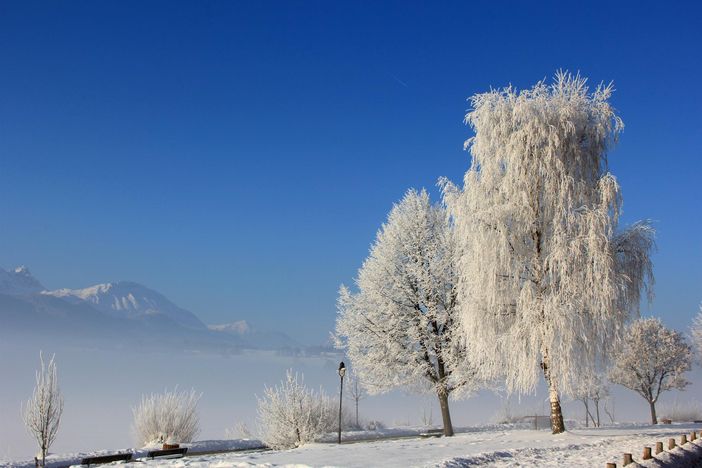 Winter am Forggensee