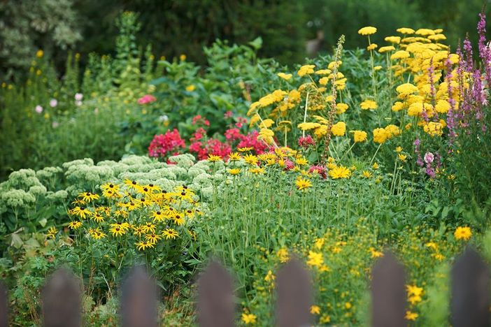 Unser Garten