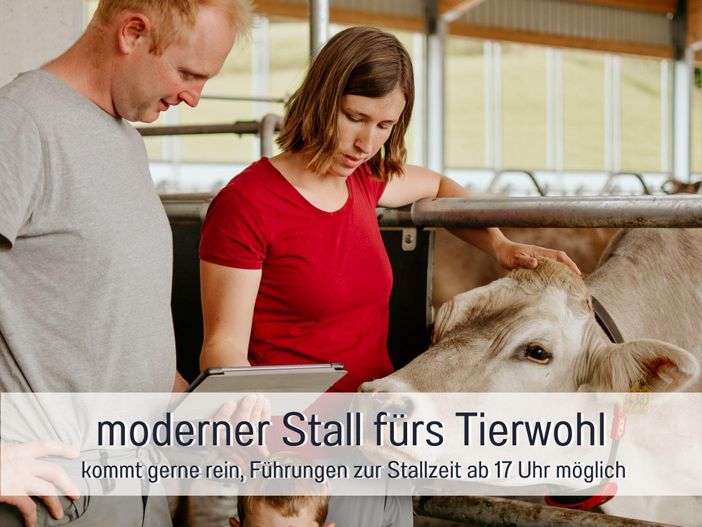 Neuer Stall
