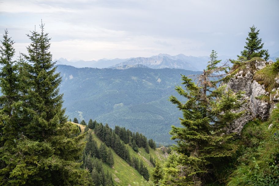 Fotograf: Philipp Angerhofer