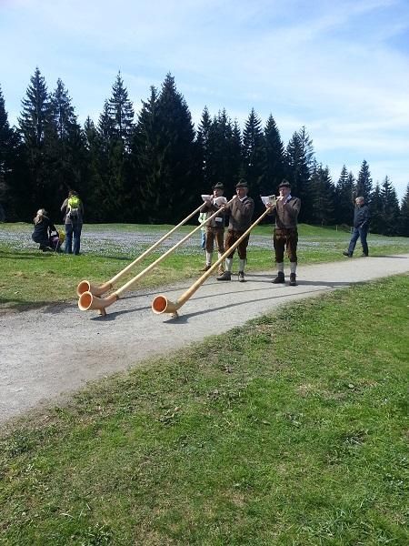 Krokuswiesen am Hündle