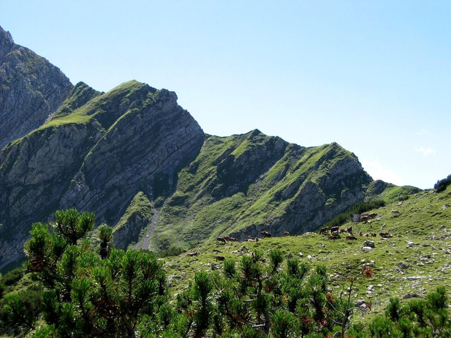 Allgäu im Sommmer