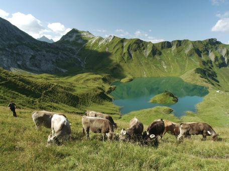 Anspruchsvolle Bergtour zum Schrecksee.