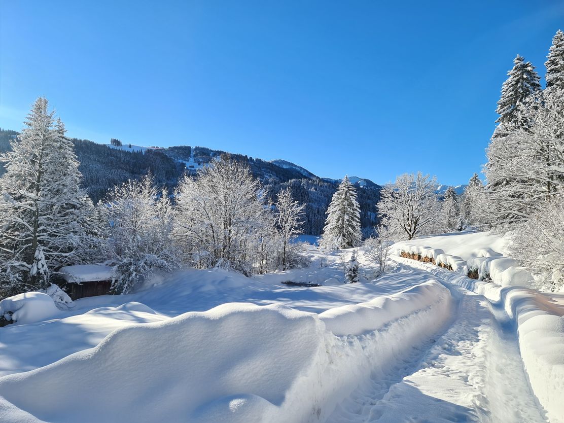 Verschneiter Wanderweg nach Gunzesried-Säge