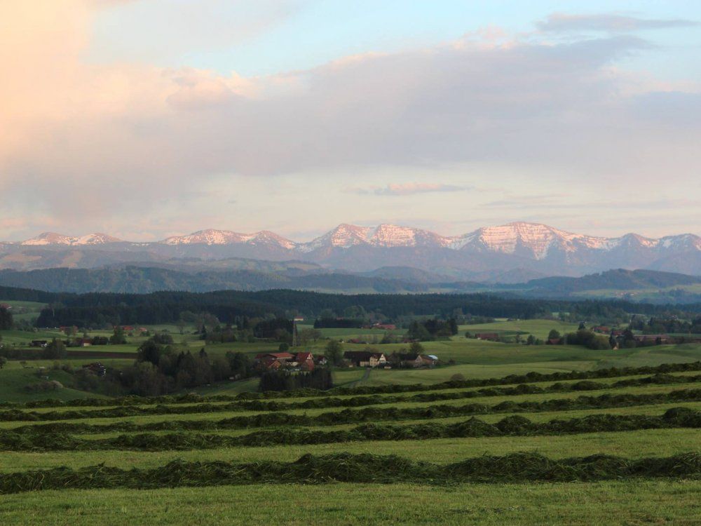 genieensiediestilleamabend