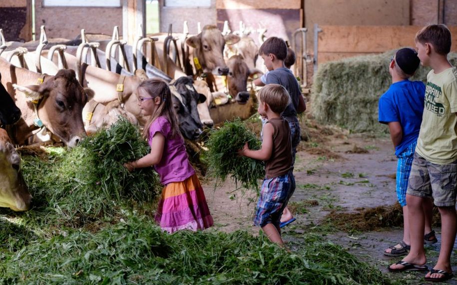 Bei uns im Stall - Landwirtschaft hautnah erleben