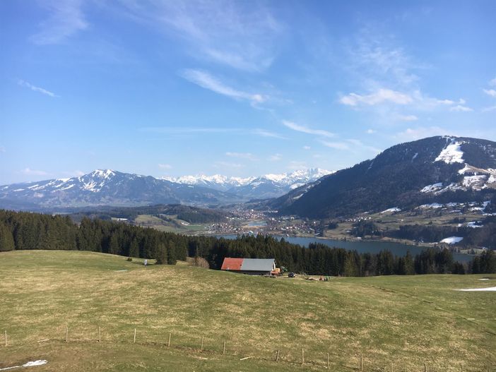 Siedelalpe
