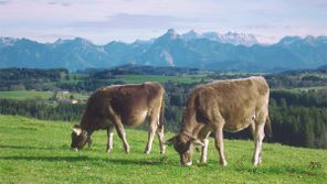 Schwarzenberg_Allgau