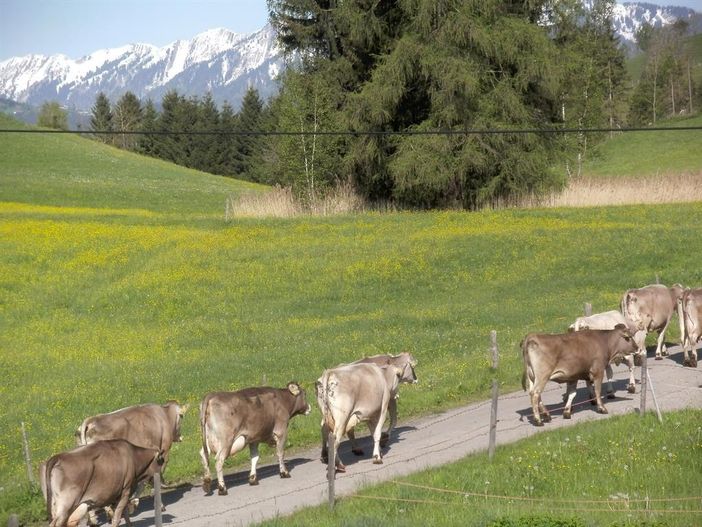 Blick vom Balkon