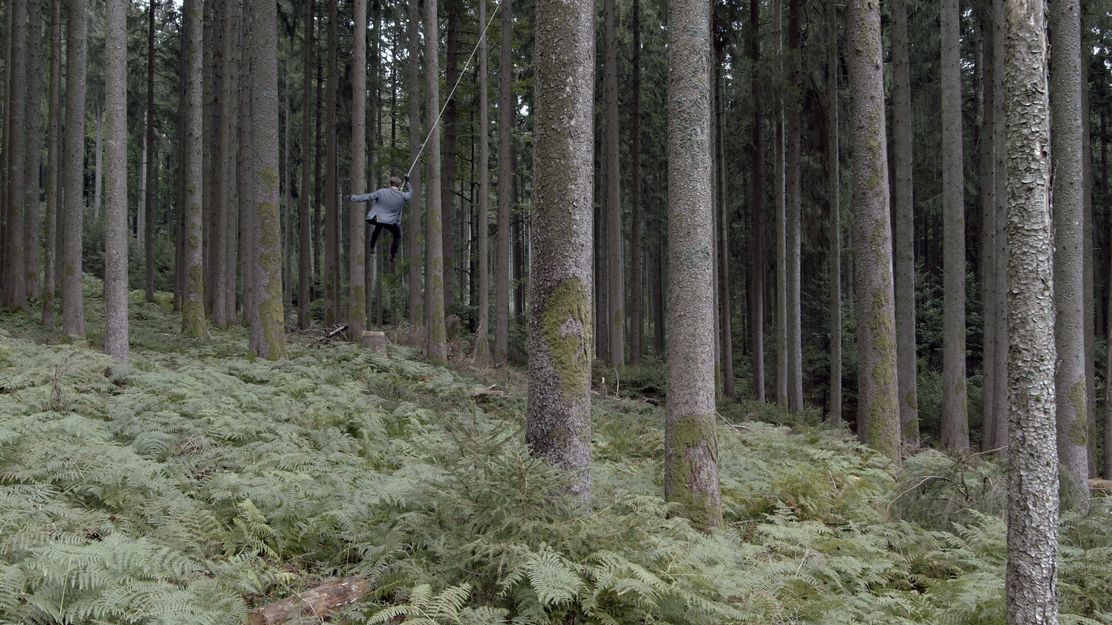 Jonas Maria Ried: Circling Trees, 2022, Video still