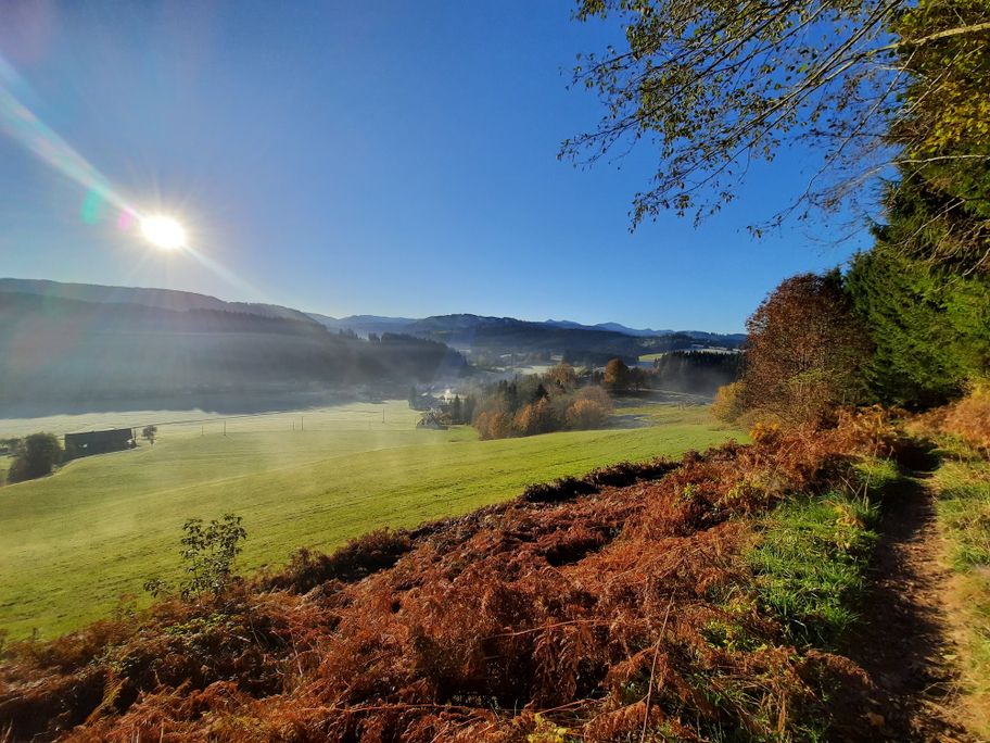 Aussicht über Sibratshofen