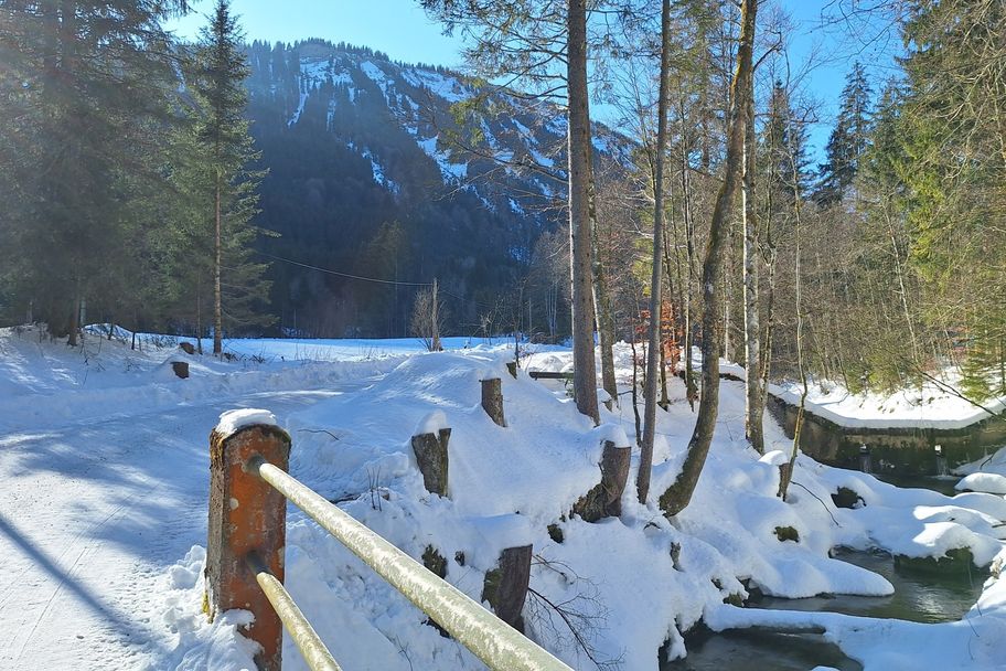 Von Immenstadt zur Mittelbergalpe