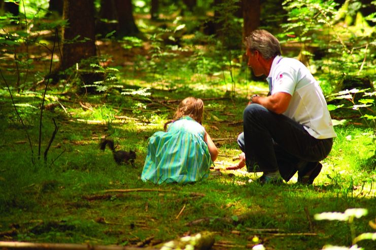 Im Eichhörnchen-Wald