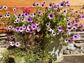 Sommerdeko