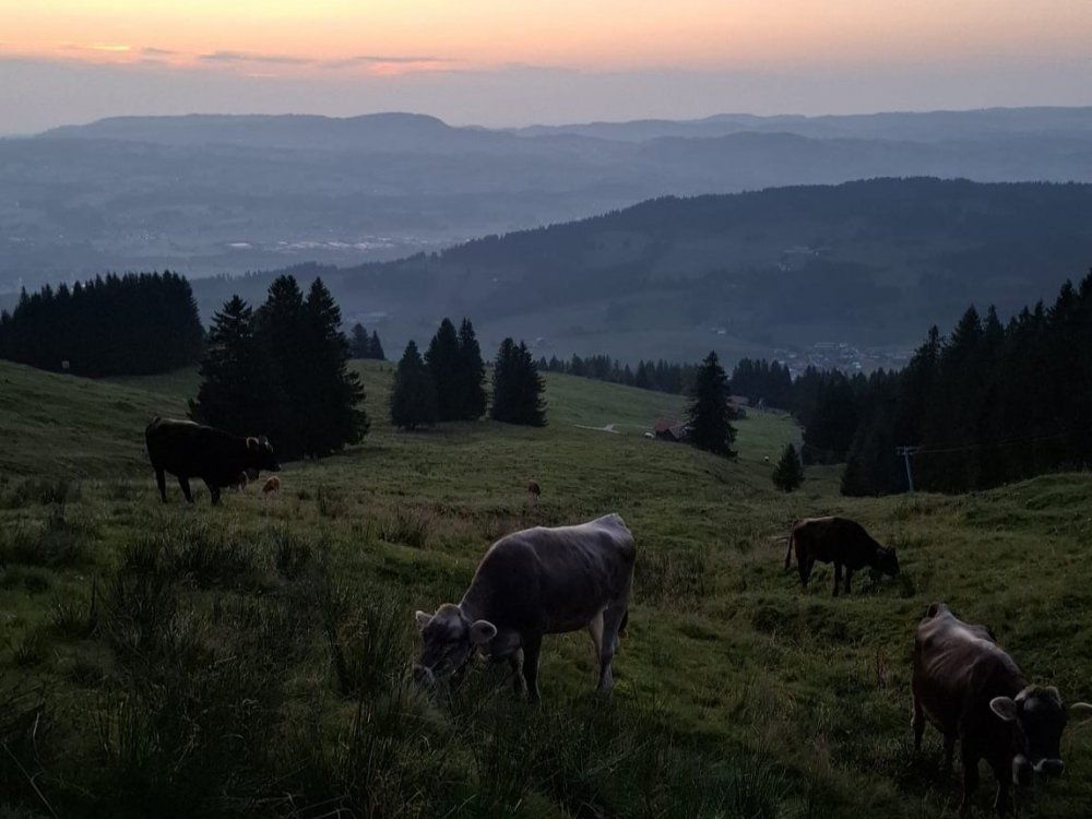 82b20c23-72c4-4f1e-a462-630efdb6777e